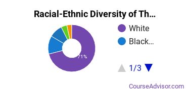 Racial-Ethnic Diversity of The Creative Circus Undergraduate Students