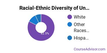 Racial-Ethnic Diversity of Triangle Tech-Chambersburg Undergraduate Students