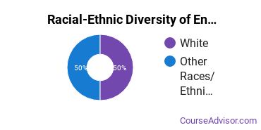 Racial-ethnic diversity of Engineering Science majors at Tufts University
