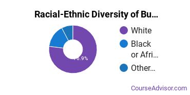 Racial-ethnic diversity of Business Administration & Management majors at University of Akron Main Campus