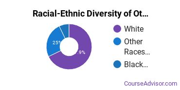 Racial-ethnic diversity of Other Communication Technology majors at University of Central Oklahoma