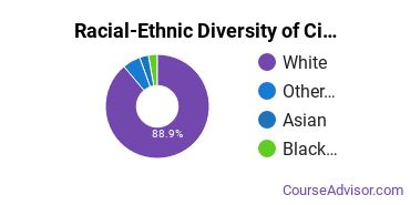 Racial-Ethnic Diversity of Civil Engineering Technology Majors at University of Maine