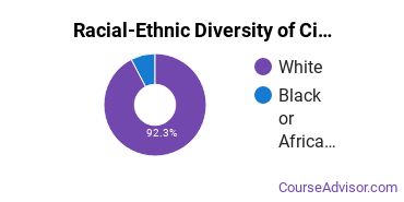 Racial-Ethnic Diversity of Civil Engineering Technology Majors at University of Pittsburgh - Johnstown