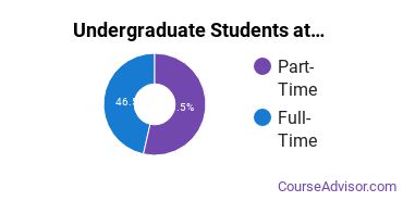 Full-Time vs. Part-Time Undergraduate Students at USF Sarasota-Manatee