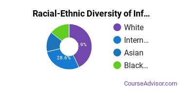 Racial-Ethnic Diversity of Information Technology Majors at Virginia Commonwealth University