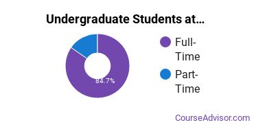  Full-Time vs. Part-Time Undergraduate Students at  Watkins Institute