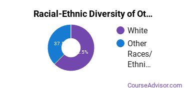 Racial-ethnic diversity of Other Interdisciplinary Studies majors at Westminster College