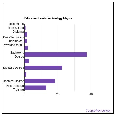 Levels Of Education What Do They Mean