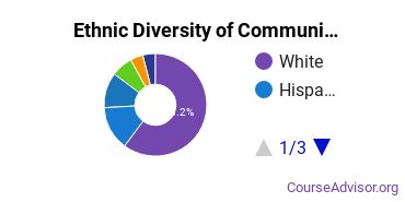 Communication & Journalism Majors Ethnic Diversity Statistics