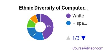 Computer Software Applications Majors Ethnic Diversity Statistics