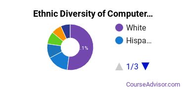 Computer Systems Analysis Majors Ethnic Diversity Statistics
