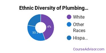 Plumbing & Water Supply Majors in AK Ethnic Diversity Statistics