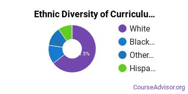 Curriculum & Instruction Majors Ethnic Diversity Statistics