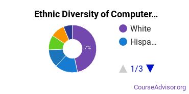 Computer Engineering Majors Ethnic Diversity Statistics