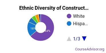 Construction Engineering Majors Ethnic Diversity Statistics