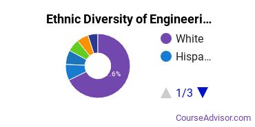 Engineering-Related Fields Majors Ethnic Diversity Statistics
