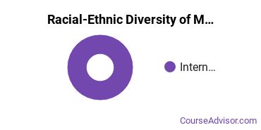 Racial-Ethnic Diversity of ME Tech Doctor's Degree Students