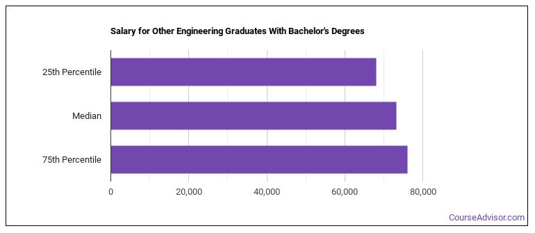 Bachelor's Degree in Other Engineering - Course Advisor