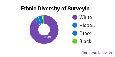 Surveying Engineering Majors Ethnic Diversity Statistics