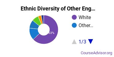 Other English Literature Majors Ethnic Diversity Statistics