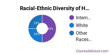 Racial-Ethnic Diversity of Human Sciences Business Services Undergraduate Certificate Students