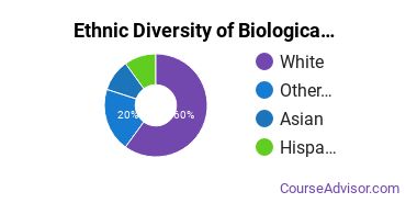 Energy & Bio-Based Therapies Majors Ethnic Diversity Statistics