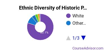 Historic Preservation Majors Ethnic Diversity Statistics
