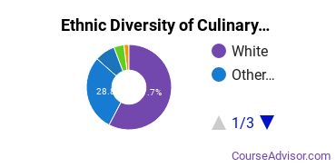 Culinary Arts Majors in VT Ethnic Diversity Statistics