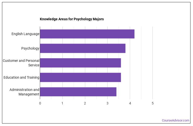 Psychology Majors In Holiday Fl 2025 Surabaya