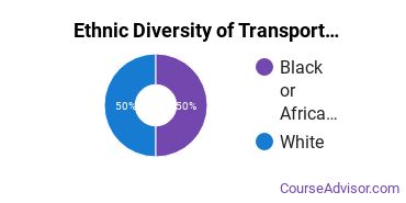 Transportation & Materials Moving Majors in NY Ethnic Diversity Statistics