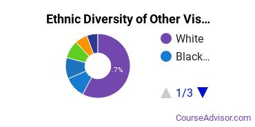 Other Visual Art Majors Ethnic Diversity Statistics